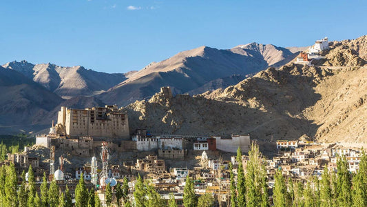 Discovering Leh: A Gem In The Heart Of The Himalayas