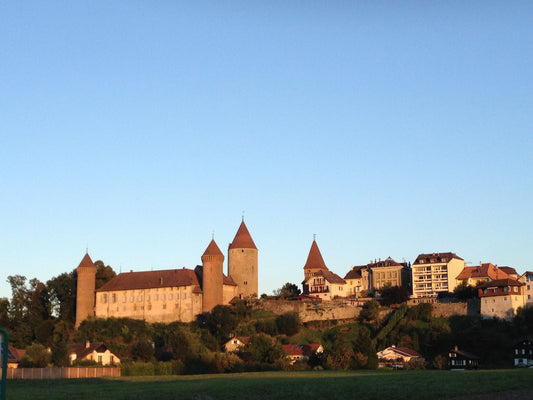 Discovering Estavayer-le-lac: A Hidden Gem In Switzerland