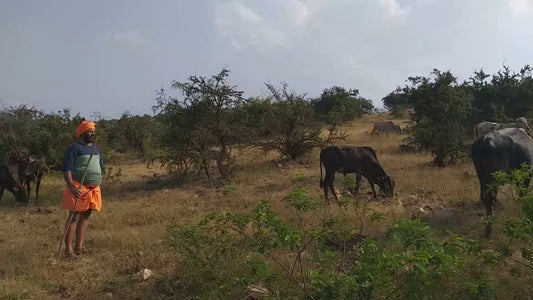 Discovering Obalapuram: A Hidden Gem In India