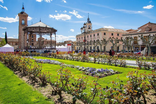 Discovering Alcalá De Henares: A Gem Of Spanish Heritage