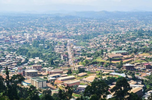 Hidden Gems In Bamenda: Discovering The Unseen Treasures Of Cameroon