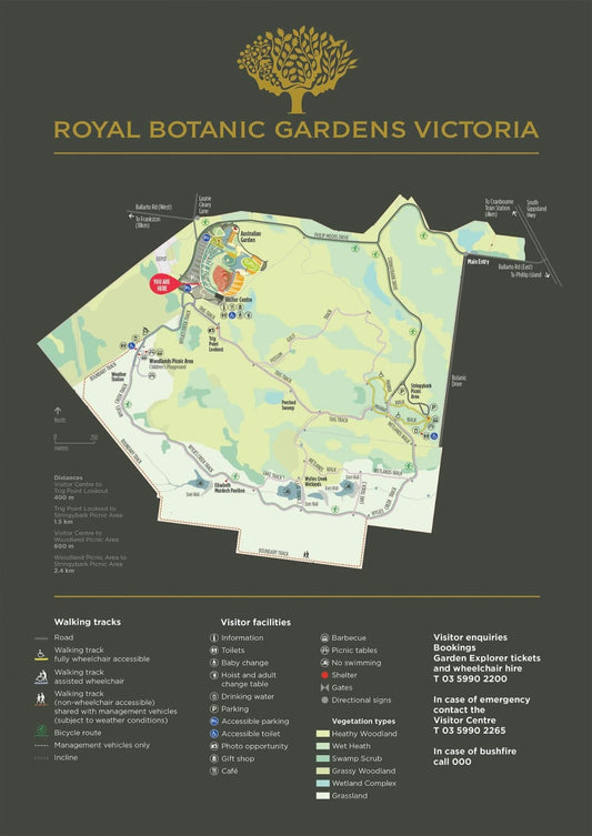 Discovering Cranbourne's Top Nature Parks