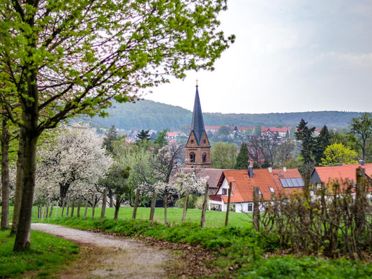 Discovering Ilsenburg: A Hidden Gem In Germany