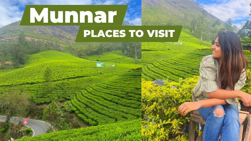 Discovering Punnayur: A Hidden Gem In Kerala
