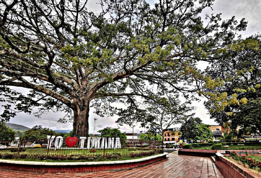 Discover Timana: A Hidden Gem In Colombia