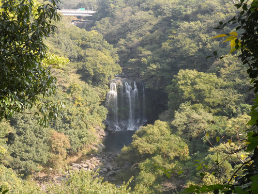 Discovering Jeju's Hidden Waterfalls