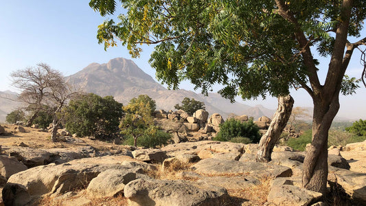 Discovering Bitkine: A Hidden Gem In Chad