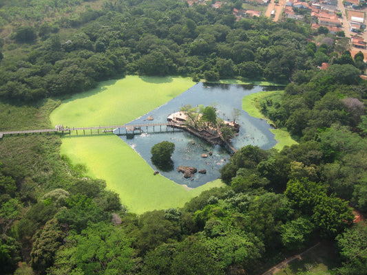 Top Attractions In Lagoa Santa, Brazil