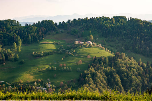 Discovering Dobrova: A Hidden Gem In Slovenia