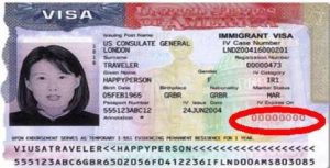 Understanding The Us Travel Visa Number