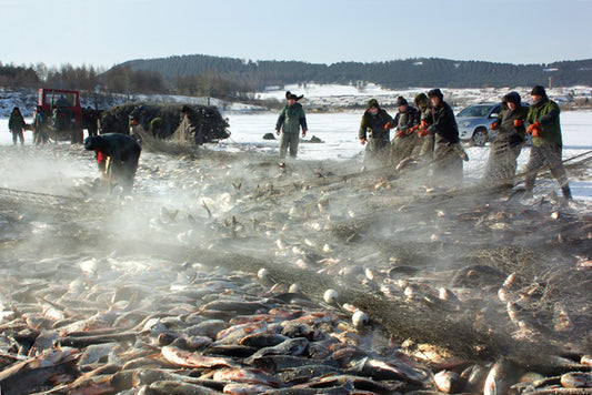 Mudanjiang's Winter Festivals And Activities