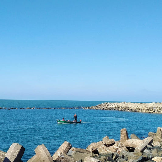 Local Cuisine In Ras Elbarr