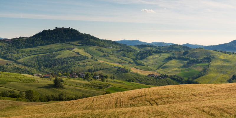 Discovering Monticelli Pavese: A Hidden Gem In Italy