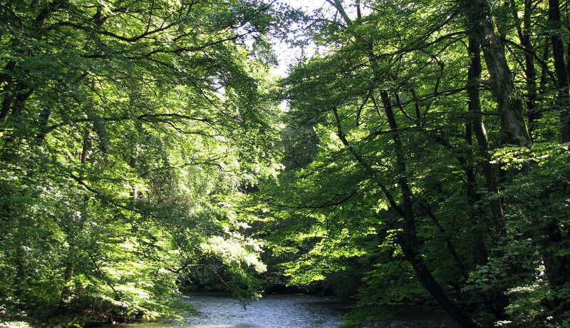 Discovering Gauting: A Hidden Gem In Germany