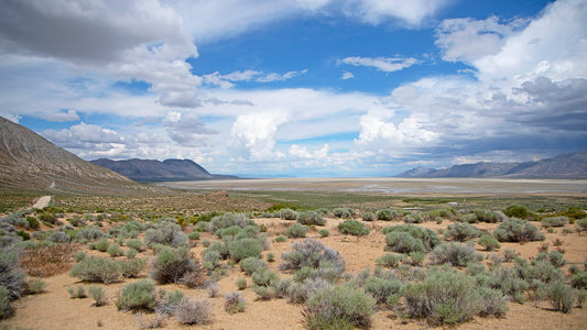 Discovering Amargosa Valley: A Unique Desert Landscape And Its Attractions