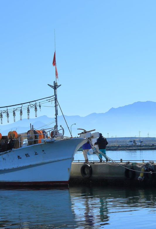 Yonago's Hidden Hot Springs: A Serene Escape