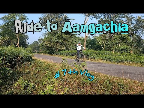 Discovering Amgachia: A Hidden Gem In India