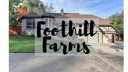 Top 10 Activities In Foothill Farms