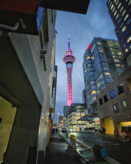 Top 10 Must-visit Attractions In Auckland