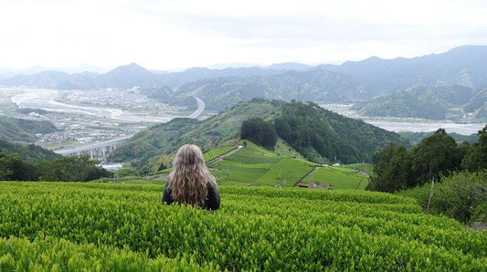 Shizuoka's Tea Culture And Scenic Tea Plantations