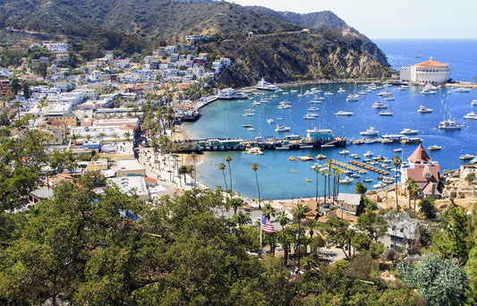 Top Activities On Santa Catalina Island