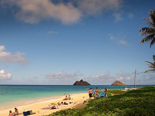 Top 10 Must-visit Beaches In Honolulu