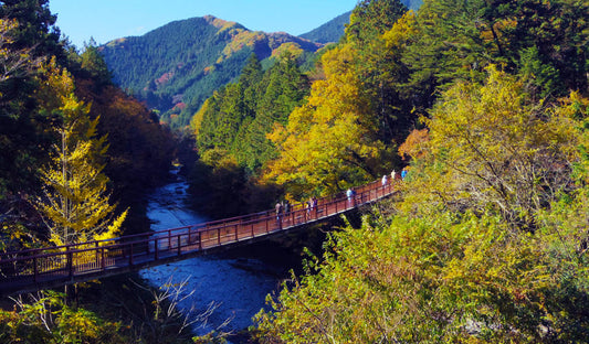 Hidden Gems In Akiruno, Japan