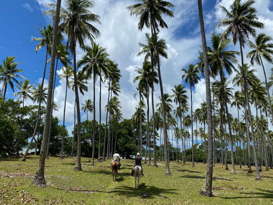 Discovering Koréyo: A Hidden Gem In Côte D'ivoire