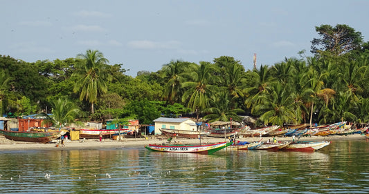 Top Local Dishes To Try In Banjul