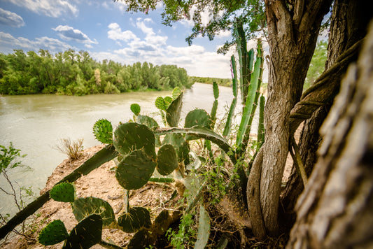 Discovering Tamaulipas: A Hidden Gem In Mexico