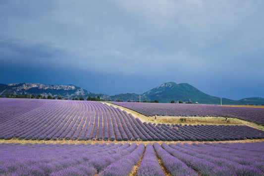 Hidden Gems In Marseille