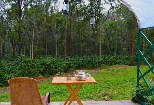 Coffee Plantations In Chikmagalur: A Coffee Lover's Paradise