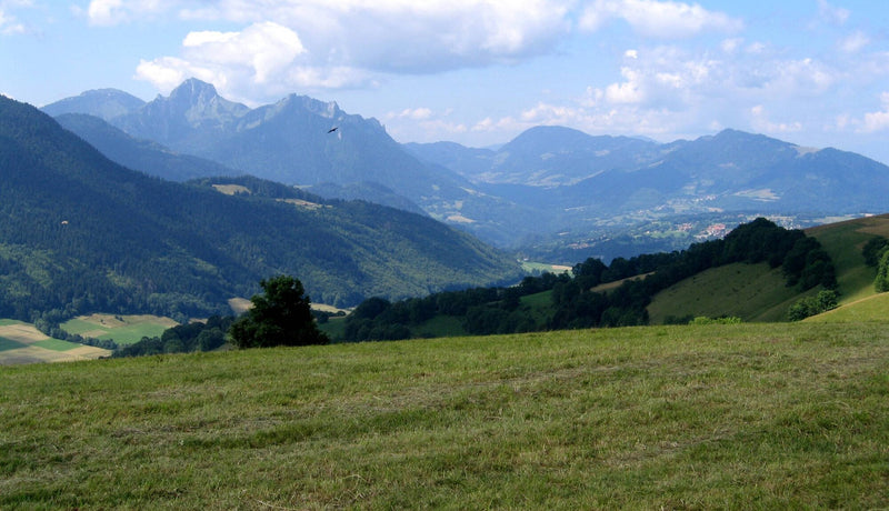 Discovering Lugrin: A Hidden Gem In France