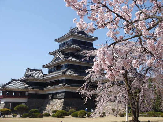 Matsumoto Castle: A Glimpse Into History And Architecture