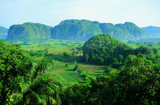 Discovering Vinales: A Hidden Gem In Cuba