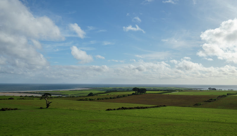 Discovering Smithton: A Hidden Gem In Tasmania