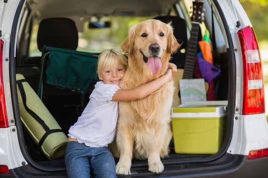 How To Travel With Your Dog: A Comprehensive Guide