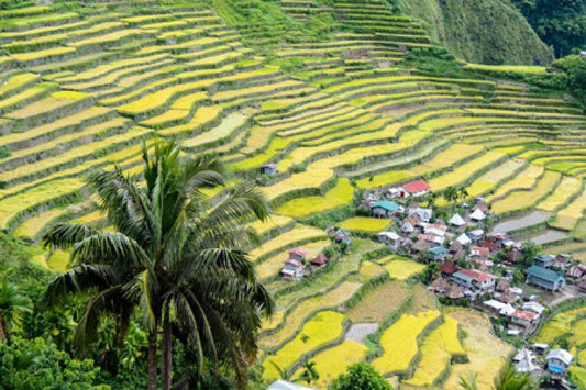 Cultural Heritage Sites In Linfen, China