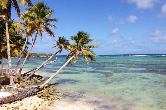 Top 10 Hidden Beaches In Guadeloupe