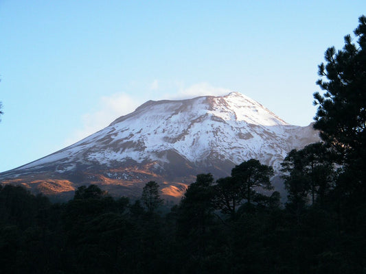 Top Attractions In Soledad De Graciano Sanchez