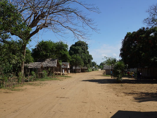 Discovering Bemanevika: A Hidden Gem In Madagascar