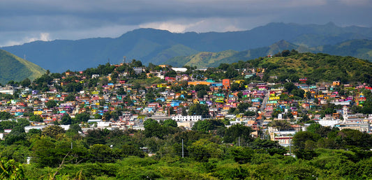 Discovering Yauco: The Coffee Capital Of Puerto Rico