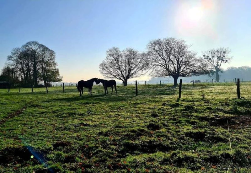 Discovering Hauville: A Hidden Gem In France