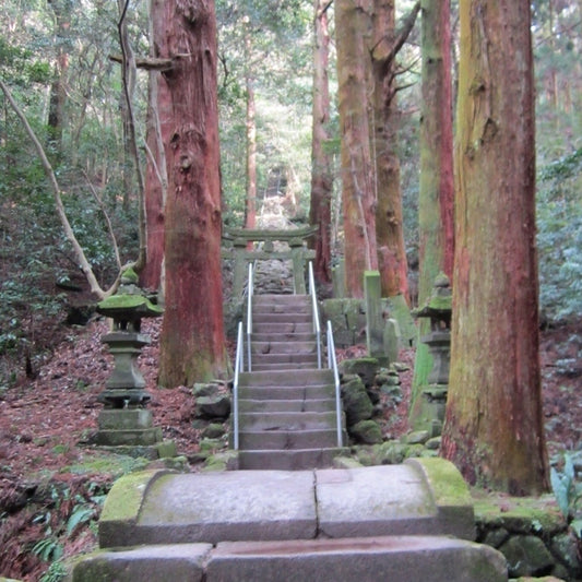 Discovering Bungotakada: A Hidden Gem In Japan