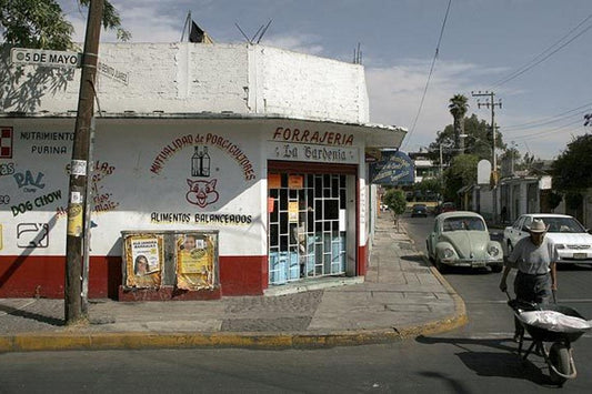 Culinary Highlights Of Juarez Street Food