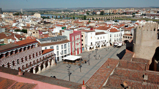 Badajoz Culinary Traditions: A Taste Of Spain's Rich Heritage