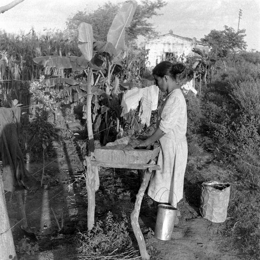 Culinary Traditions Of San Miguel De Tucumán