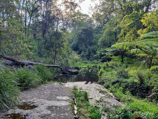 Discovering North Rocks, Australia: A Hidden Gem