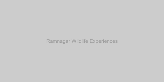 Ramnagar Wildlife Experiences: A Nature Lover's Paradise