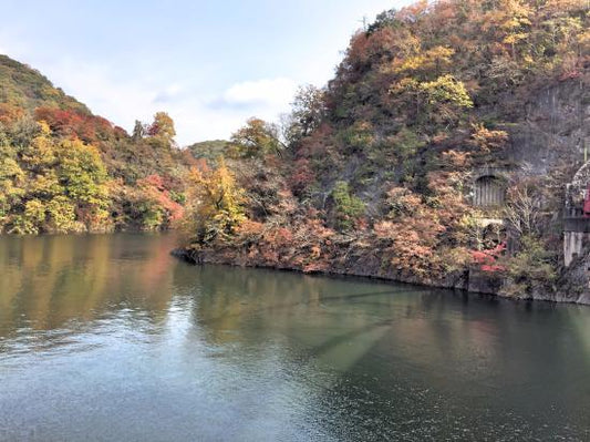 Hidden Gems In Shobara, Japan